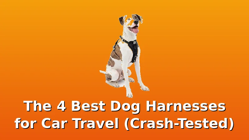 The 4 Best Dog Harnesses for Car Travel (Crash-Tested) - DogHarnessReviews review with measurements and honest opinion