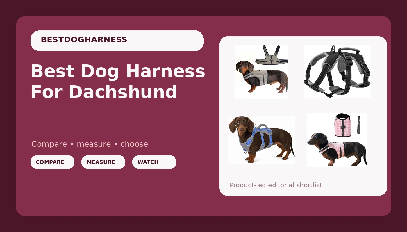 Best Dog Harness For Dachshund - DogHarnessReviews review with measurements and honest opinion