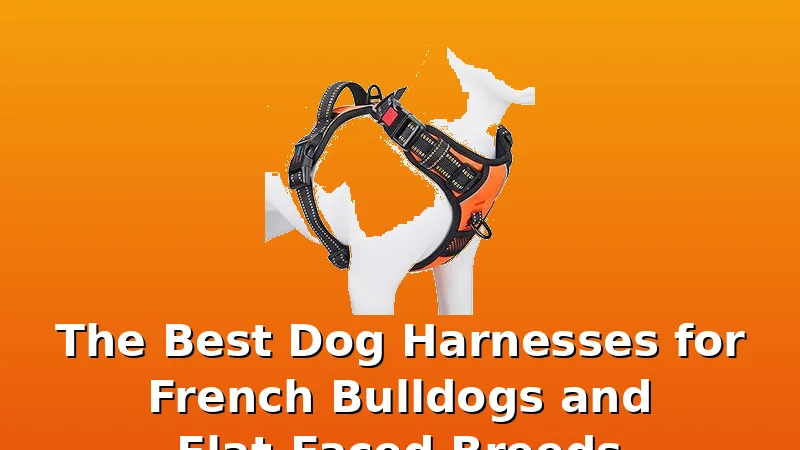 The Best Dog Harnesses for French Bulldogs and Flat-Faced Breeds - DogHarnessReviews review with measurements and honest opinion