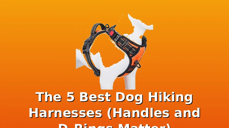 The 5 Best Dog Hiking Harnesses (Handles and D-Rings Matter) - DogHarnessReviews review with measurements and honest opinion