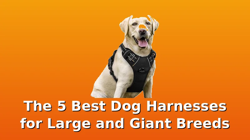 The 5 Best Dog Harnesses for Large and Giant Breeds - DogHarnessReviews review with measurements and honest opinion
