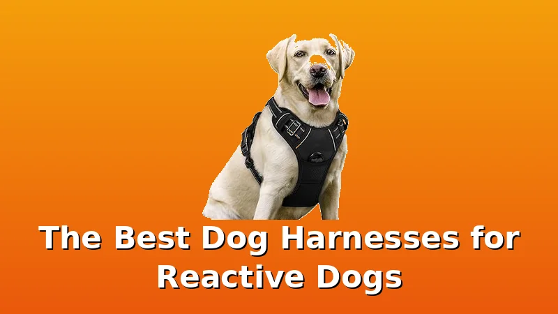 The Best Dog Harnesses for Reactive Dogs - DogHarnessReviews review with measurements and honest opinion