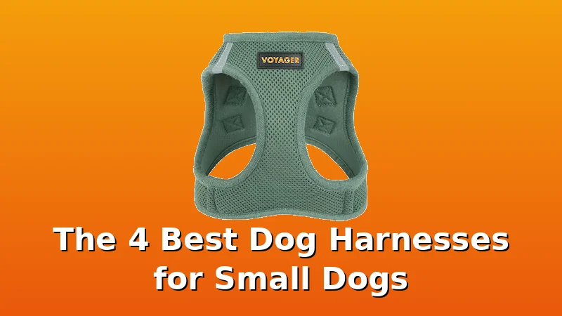 The 4 Best Dog Harnesses for Small Dogs - DogHarnessReviews review with measurements and honest opinion