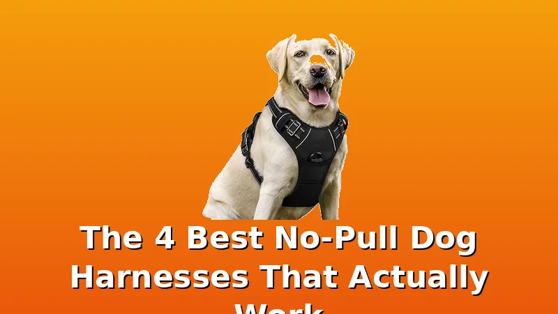The 4 Best No-Pull Dog Harnesses That Actually Work - DogHarnessReviews review with measurements and honest opinion