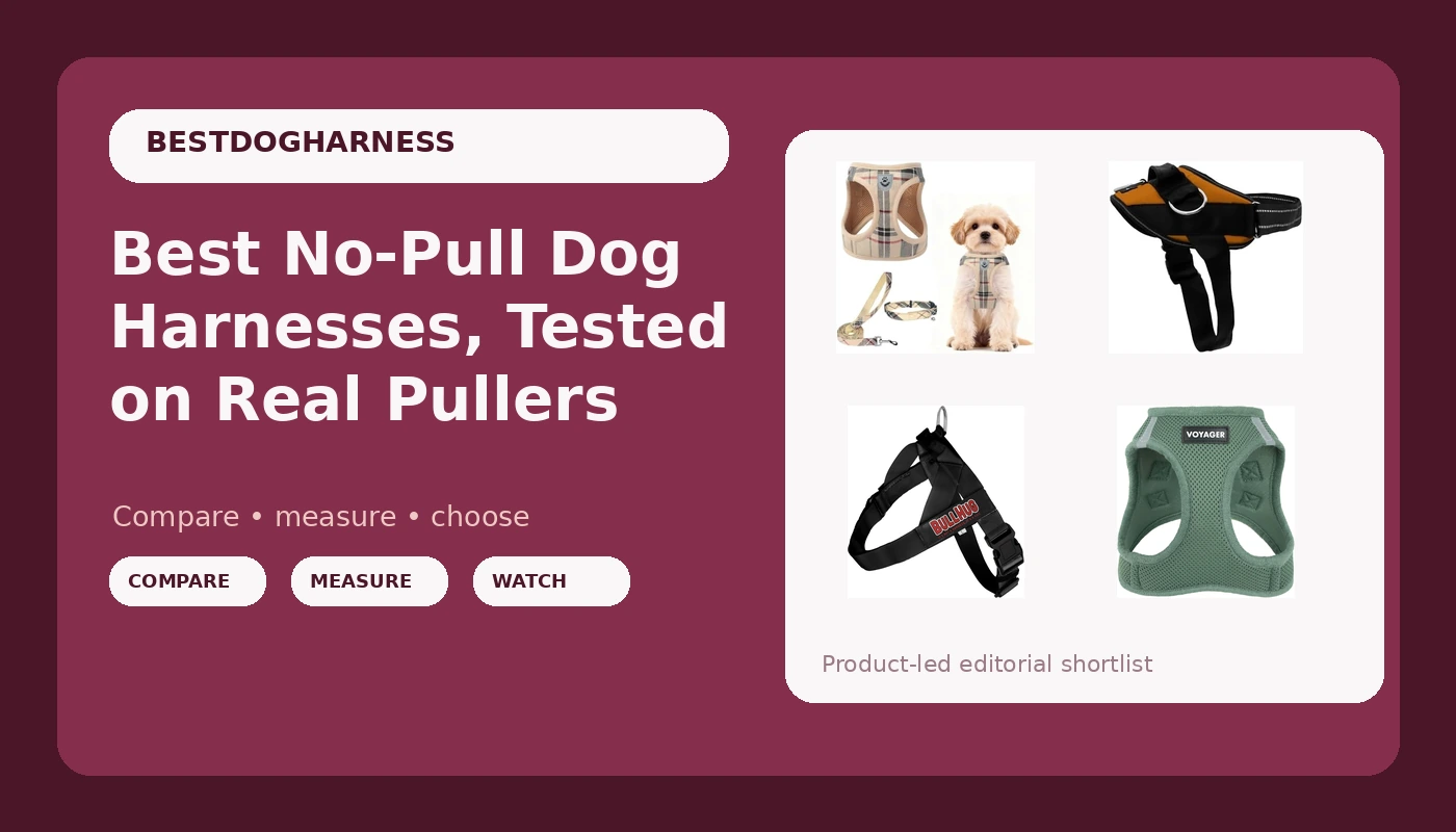 Best No-Pull Dog Harnesses, Tested on Real Pullers