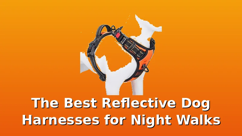 The Best Reflective Dog Harnesses for Night Walks - DogHarnessReviews review with measurements and honest opinion