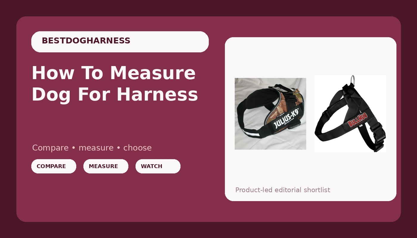 How To Measure Dog For Harness - DogHarnessReviews review with measurements and honest opinion