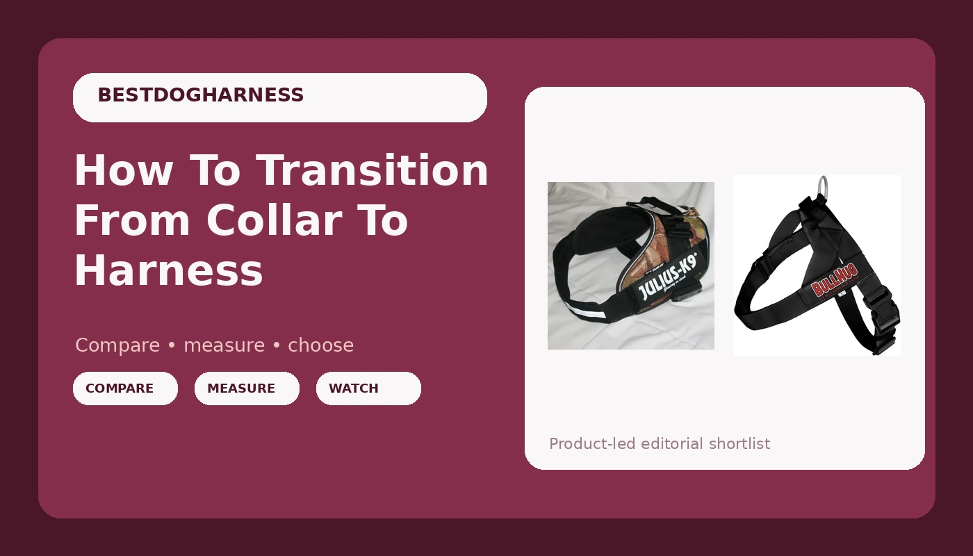 How To Transition From Collar To Harness - DogHarnessReviews review with measurements and honest opinion