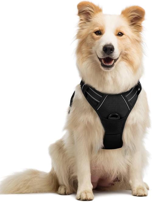 rabbitgoo Dog Harness, No Pull Medium Sized with 2 Leash Clips, Pet Vest