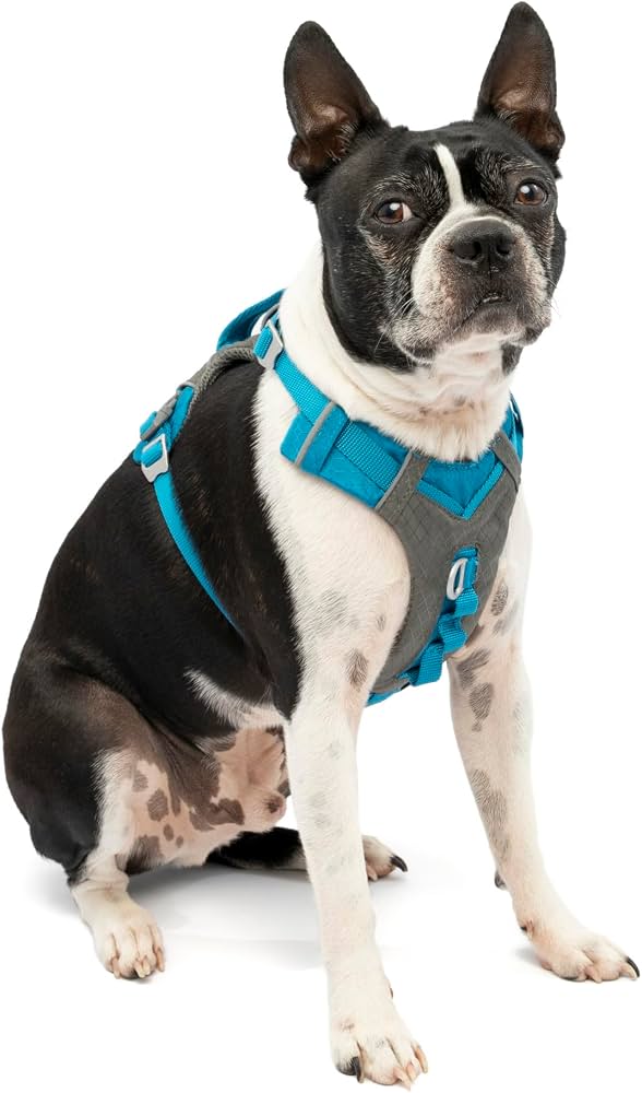 Kurgo Journey Air Dog Harness, Blue, Small