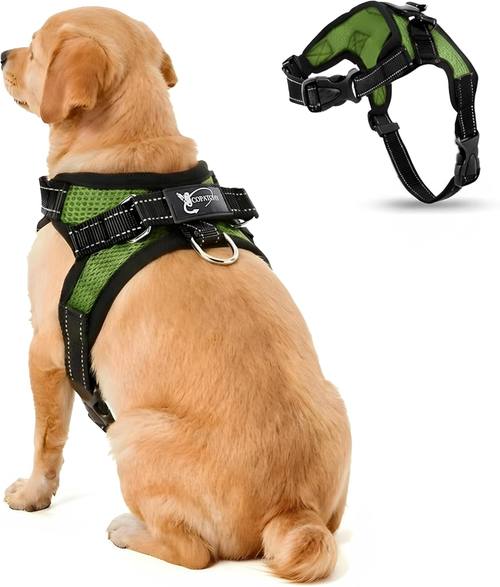No Pull Reflective Adjustable Dog Harness with Handle- Comfortable Soft All Weather Mesh, Easy On Puppy Harness for Small Medium and Large Dogs (Green) Small
