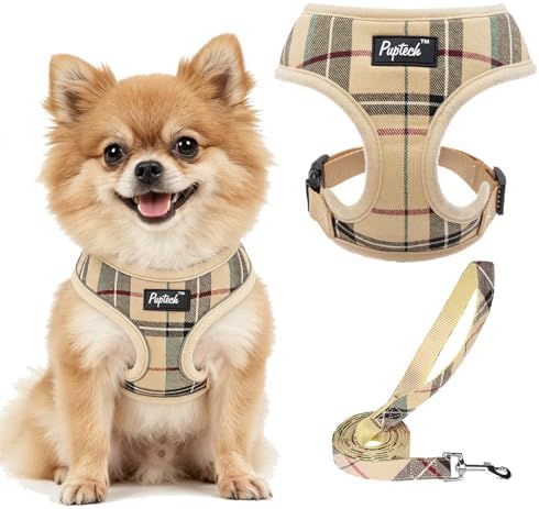 PUPTECK Soft Mesh Dog Harness and Leash Set