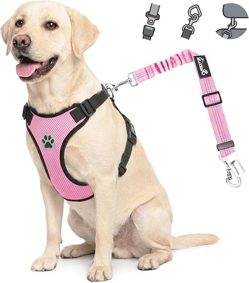 Lukovee Dog Car Harness Seat Belt, Harness &amp; Seatbelt with 2 in 1 Buckle