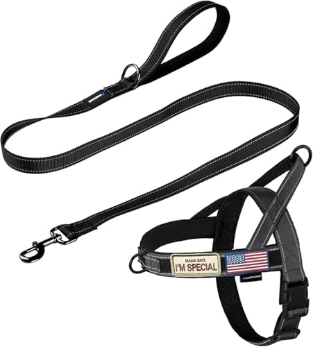 Annchwool No Pull Dog Harness