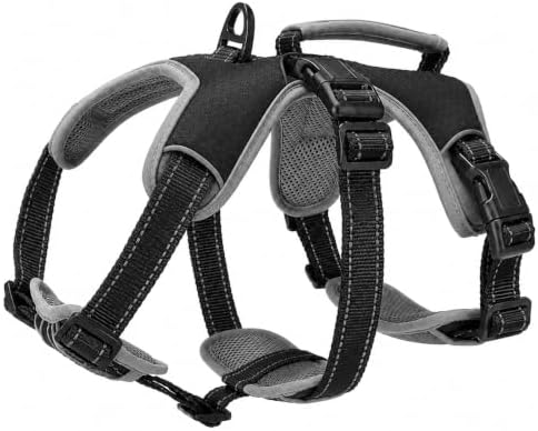 Huntboo Escape Proof Dog Harness, Dachshund Harness, Reflective Dog Harness with Handle, Durable,Adjustable Vest for Small Medium Large Dogs Walking, Training, and Running Gear (Technicolor Blue,S)