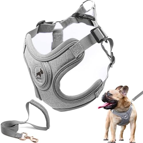Dog Harness with Leash Set, No Pull Adjustable Step in Pet Vest