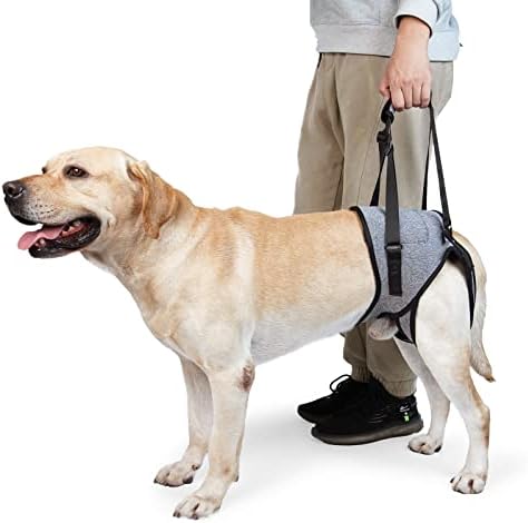 Dotoner Dog Sling for Large Dogs Hind Leg Support to Help Rehabilitate the Hind Limbs of Elderly Dogs with Weak Hind Legs Disabilities and Injuries Dog Harness Helps Arthritis ACL Recovery (L, Grey)