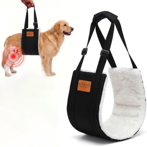 Adjustable Dog Lifting Harness, Large Dog Hind Leg Support Sling