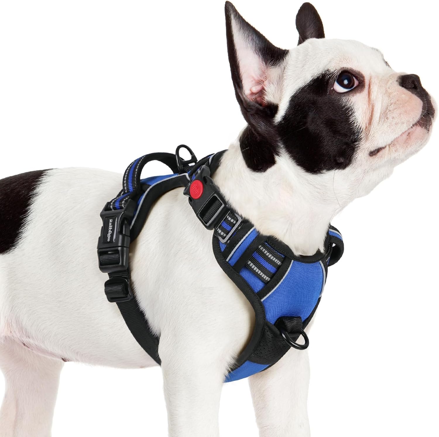 rabbitgoo Dog Harness Small Sized, Updated Easy On & Off with 3 Buckles