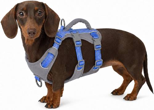 Huntboo Escape Proof Dog Harness,Dachshund Harness, No Escape, Breathable, Reflective, Adjustable Lift Harness with Handle for Small, Medium, and Large Dogs Walking, Training (Sea Blue,S)