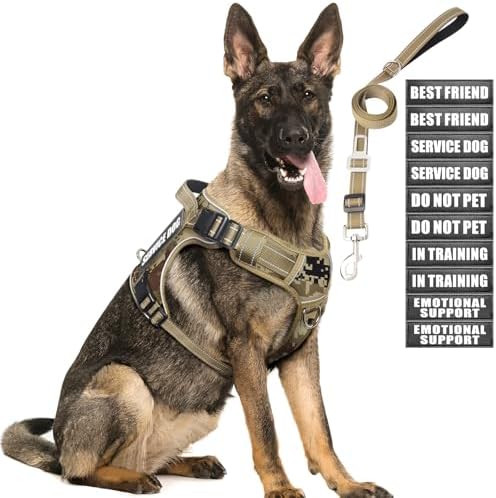 Tactical Dog Harness and Leash Set