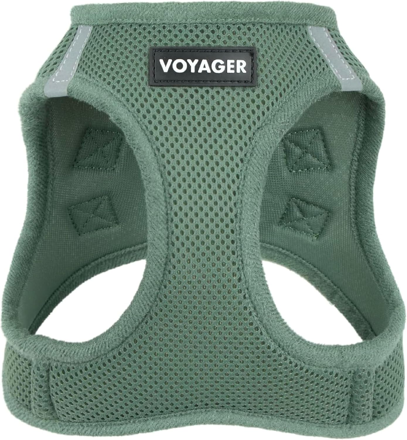 Voyager Step-In