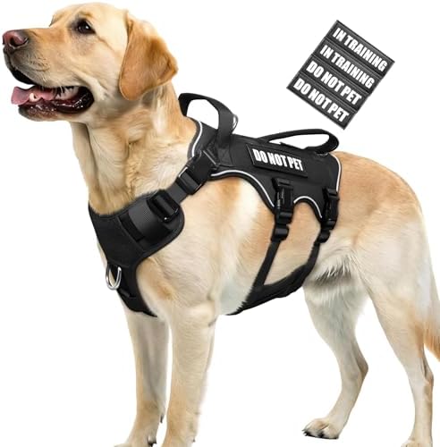 Escape Proof with Double Handle
