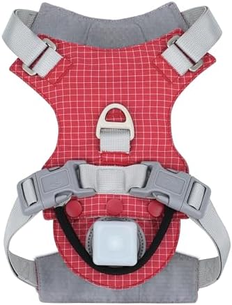 TagME Light Up Dog Harness