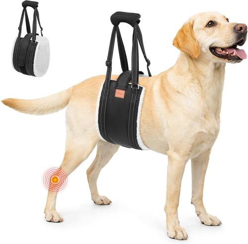 LOOBANI Dog Lift Harness Rear Leg Support for Large Dogs Secure Belly Wrap