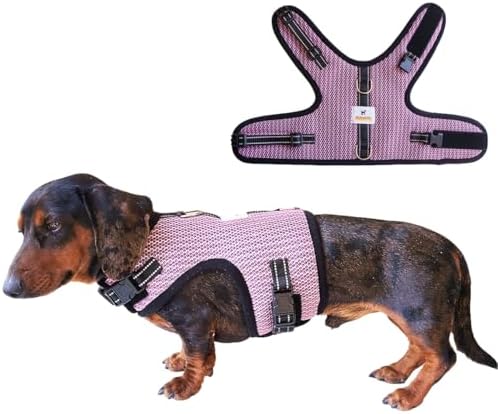 Mini Dachshund Harness Vest, No Pull & No Armpit Rub Dachshund Harness, Escape Proof Adjustable Dog Harness for Walking (Pink, M:Chest 16.5"-20.5 “” /42-52cm”) : Pet Supplies