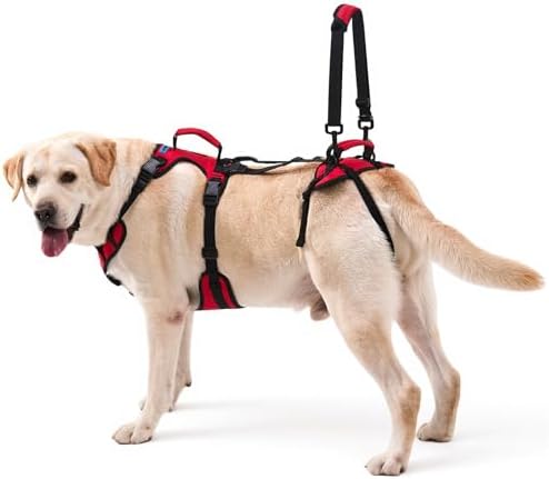 Dog Lift Harness for Large Dogs, Full-Body Support Dog Harness for Stairs & Hind Leg Weakness, Senior Dog Walking Assist, Male Dog-Friendly & Comfortable, Red, L