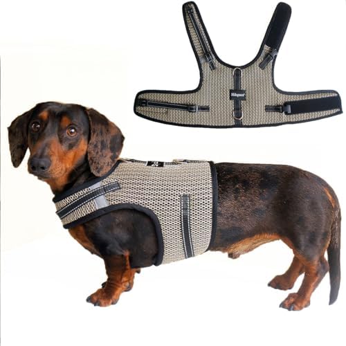 Mini Dachshund Harness Vest, No Pull & No Armpit Rub Dachshund Harness, Escape Proof Adjustable Dog Harness for Walking (Blue, M: Chest 42-52cm (16.5"-20.5"))