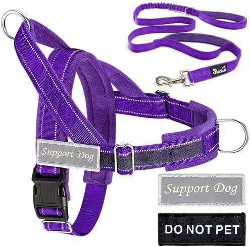 SlowTon No Pull Dog Harness and Leash Set - Heavy Duty, Soft Padded